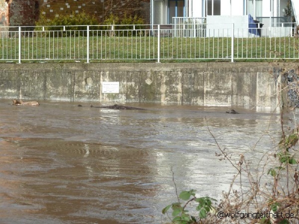 Hochwasser-Meiningen (20).JPG